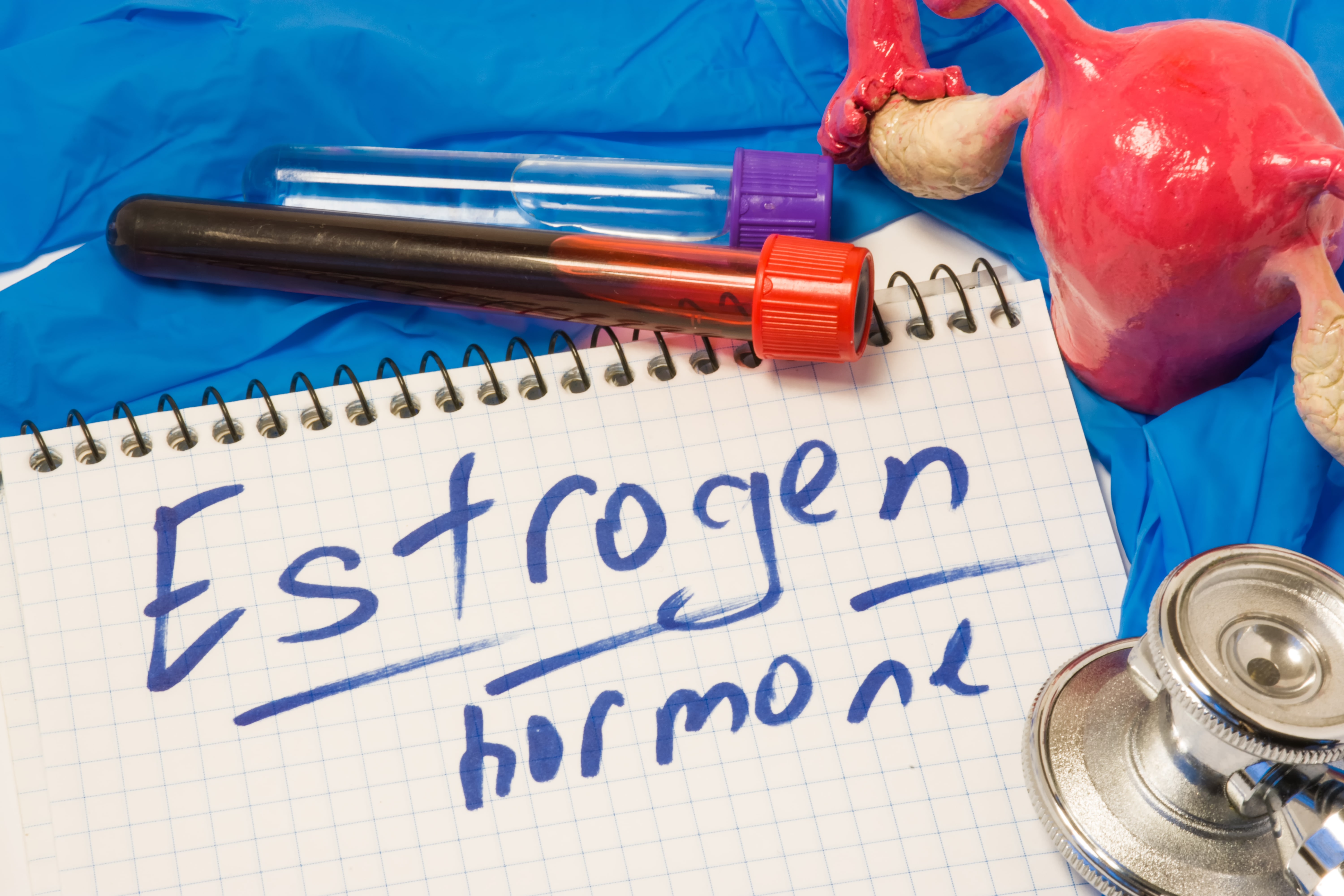 Estrogen hormone