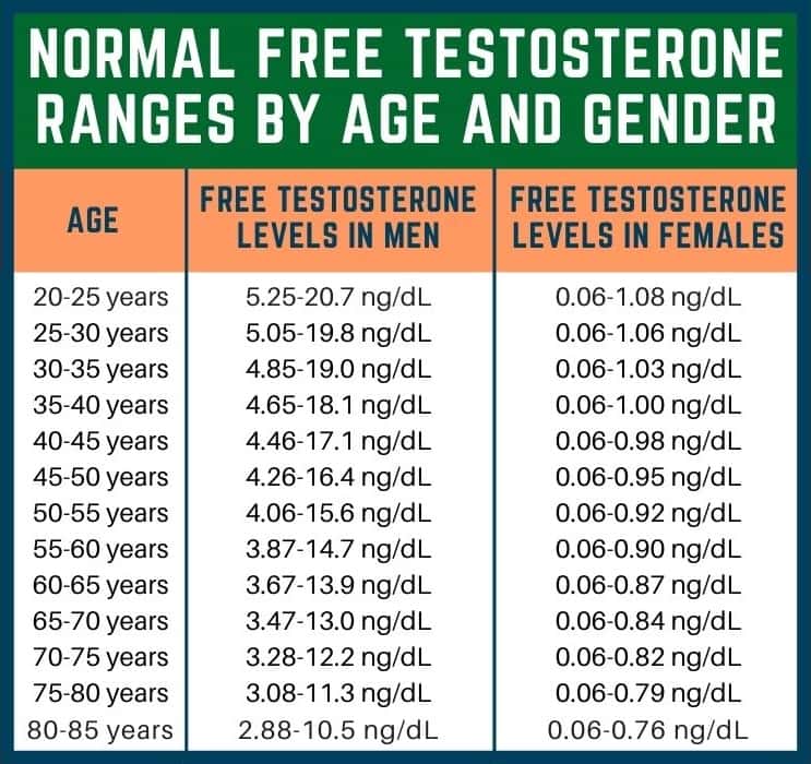 Normal Free Testosterone Ranges in Men and Females