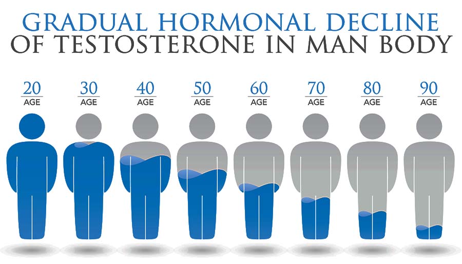 Gradual testosterone decline in men