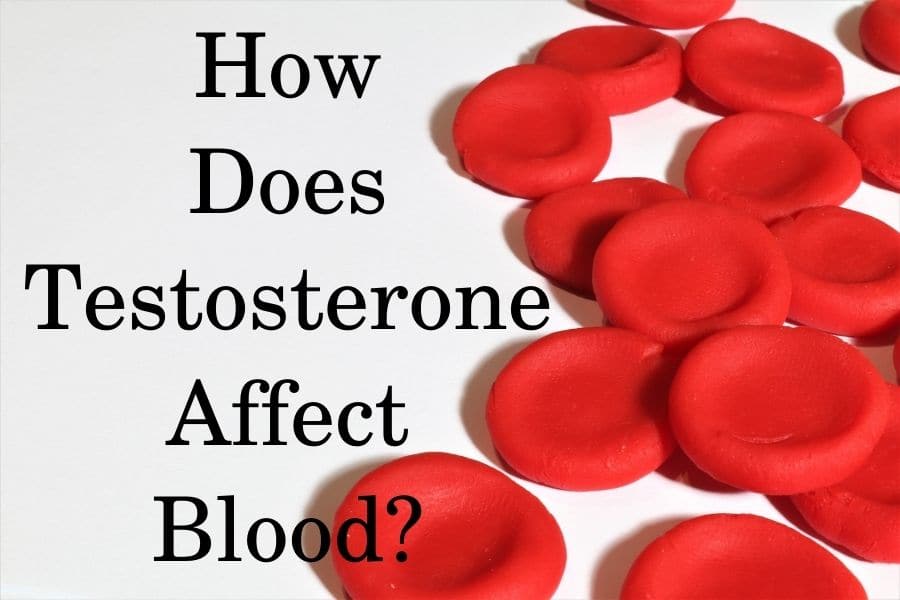 How does testosterone affect blood?