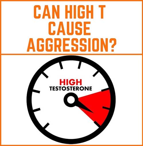 Can high T cause aggression?