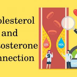 Cholesterol and testosterone connection