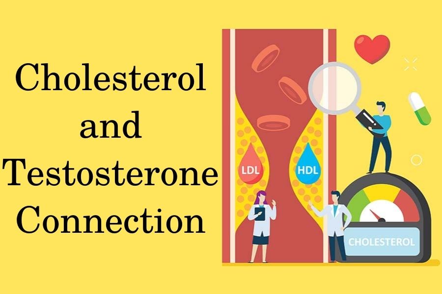 Cholesterol and testosterone connection