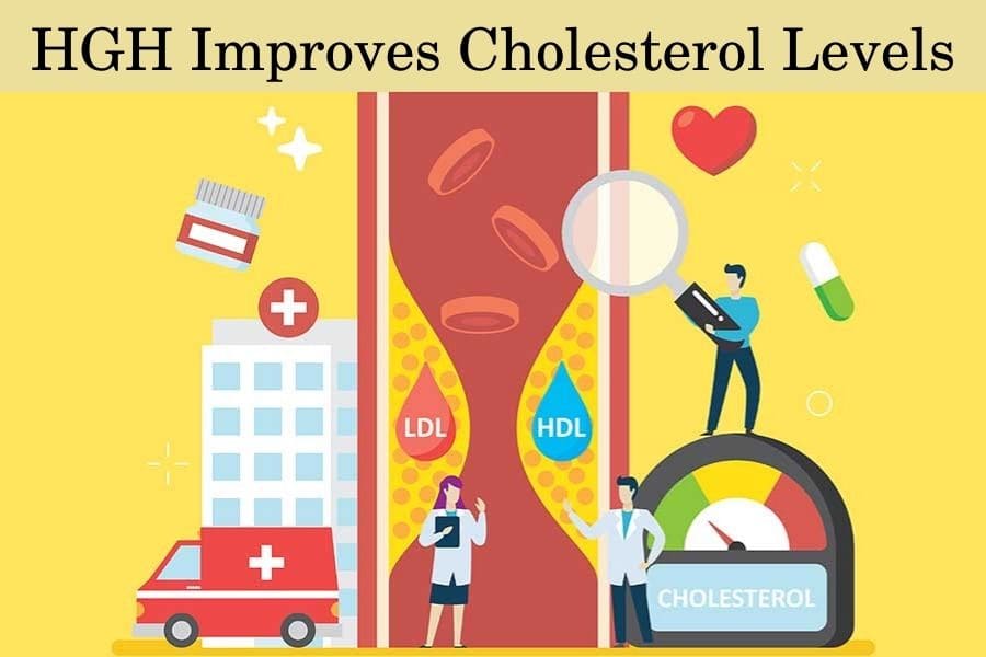 HGH Improves Cholesterol Levels