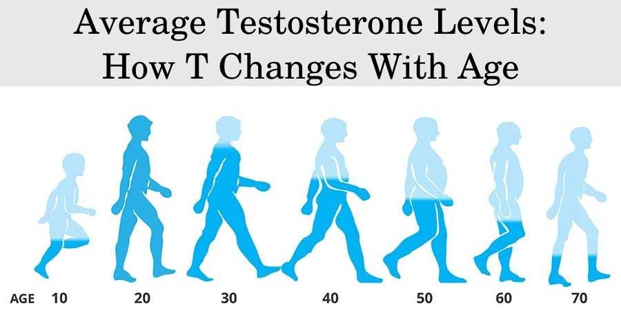 Average Testosterone Levels: How T Changes With Age