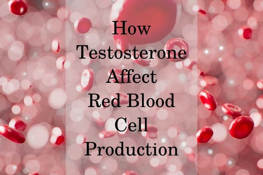 How Testosterone Affect Red Blood Cell Production