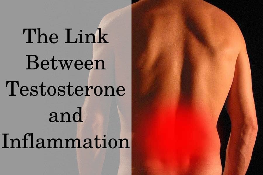 The link between testosterone and inflammation