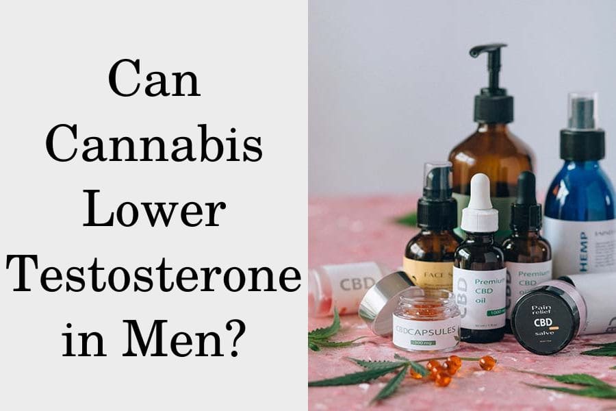 Can Cannabis Lower Testosterone in Men?