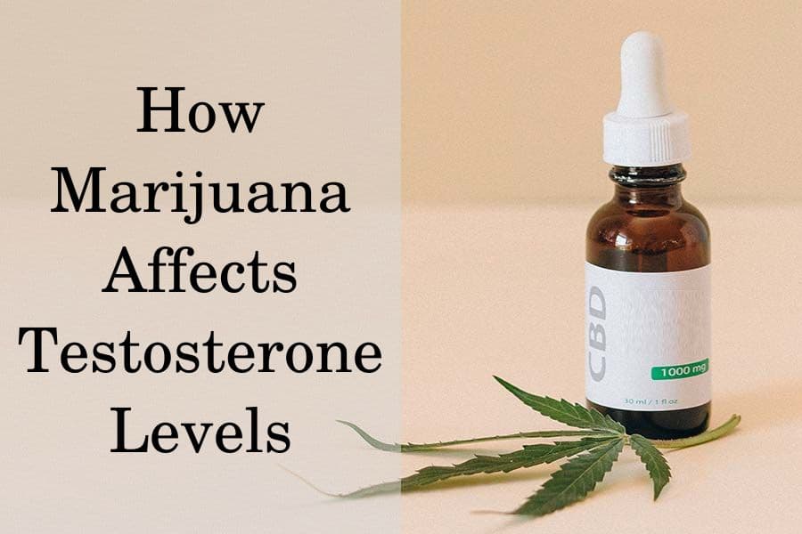How Marijuana Affects Testosterone Levels