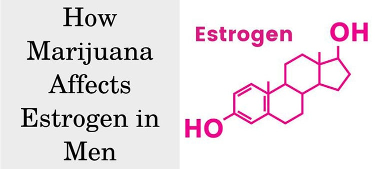 How Marijuana Affects Estrogen in Men