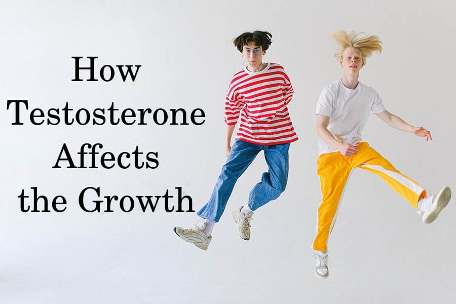 How Testosterone Affects the Growth
