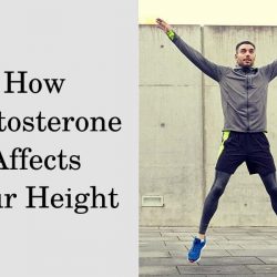 How testosterone affects your height