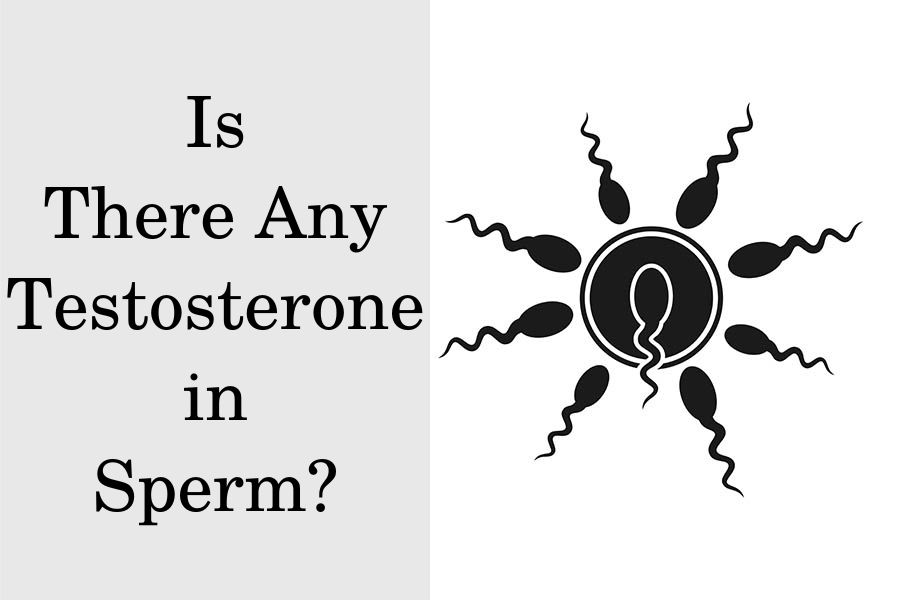 Is There Any Testosterone in Sperm?