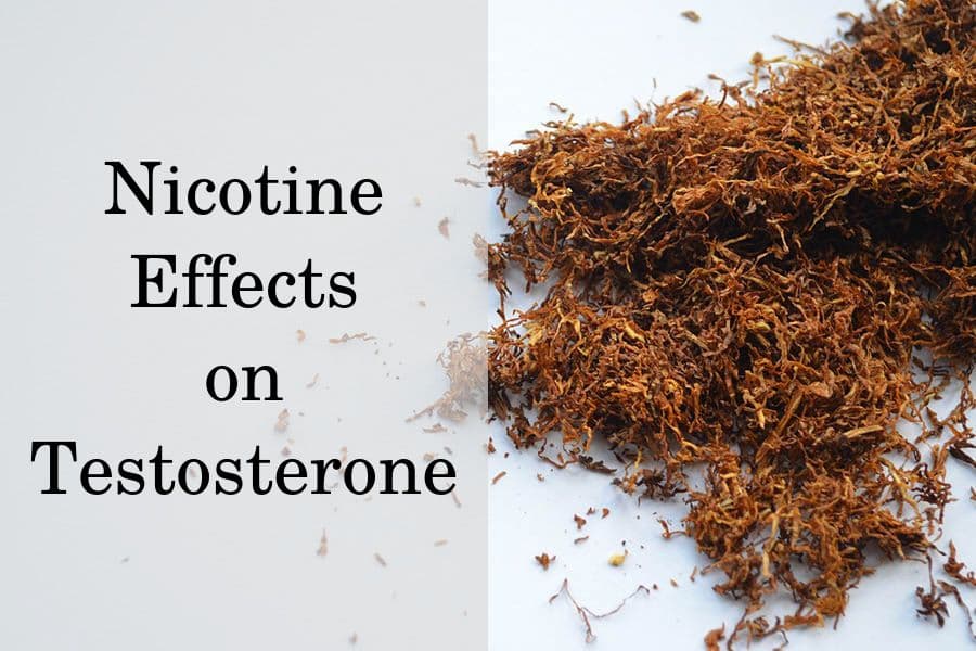 Nicotine effects on testosterone